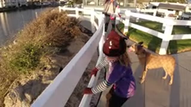 PISMO BEACH CALIFORNIA-2019: A Little Girl Sticking Her Leg Under A Fence Post