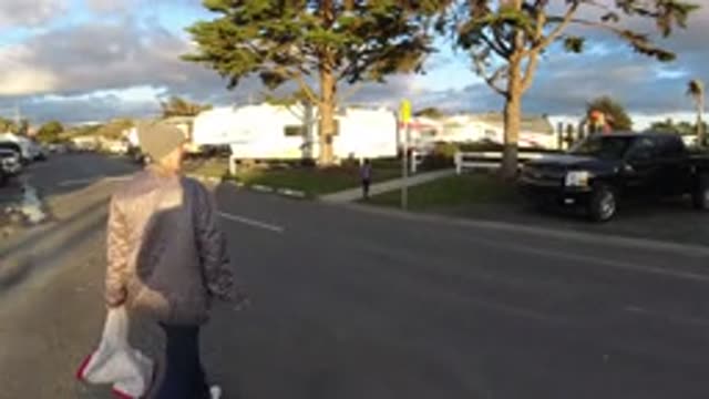 PISMO BEACH CALIFORNIA-2019: Person Wearing A Cap Crossing A Street With A Dog