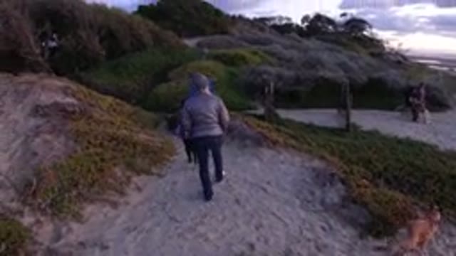M04-20-0380-12-26-19-2019-pismo-beach-california-DJI_0832-001.mp4
