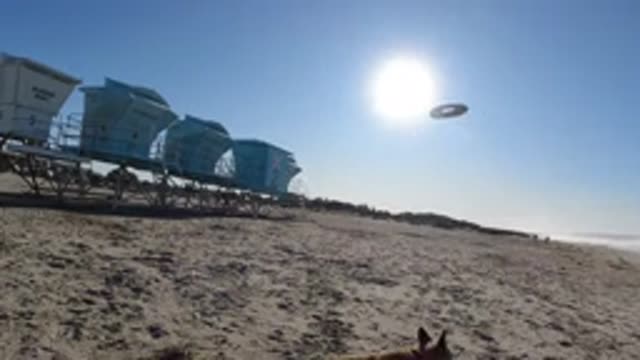PISMO BEACH CALIFORNIA-2019: Throwing A Frisbee Disk To A Dog On The Beach