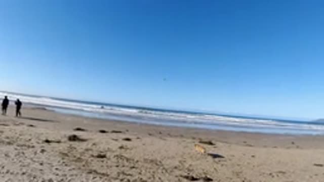 PISMO BEACH CALIFORNIA-2019: People Are Walking On The Beach As Someone Throws A Frisbee