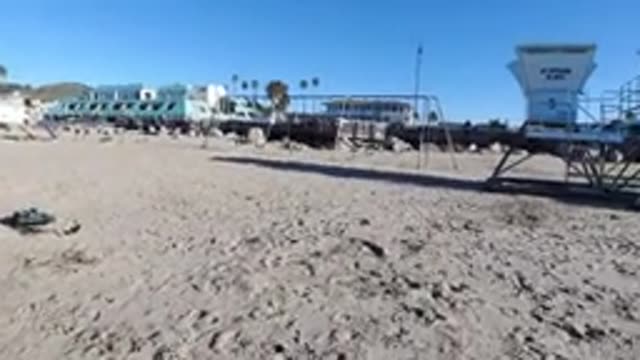 PISMO BEACH CALIFORNIA-2019: Man Throwing Frisbee To Playful Dog On Dusty Beach