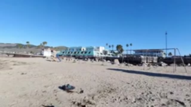 PISMO BEACH CALIFORNIA-2019: Dog Catching Frisbee With A Jump On The Beach Near