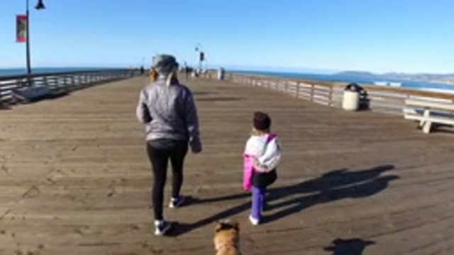 PISMO BEACH CALIFORNIA-2019: A Mother Child And Dog Walks On A Wooden Brown Walkway