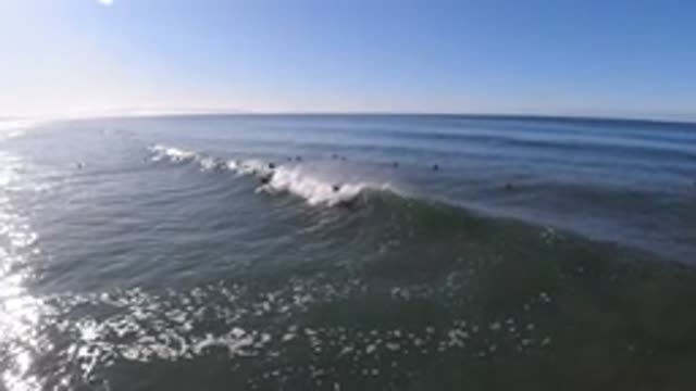 PISMO BEACH CALIFORNIA-2019: Exceptional Moment Of A Surfer On The Sea Who Tries