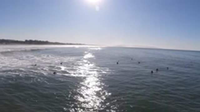 PISMO BEACH CALIFORNIA-2019: Beach Bliss And Birds