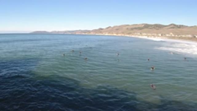 PISMO BEACH CALIFORNIA-2019: People Swimming In Beautiful Blue Sea