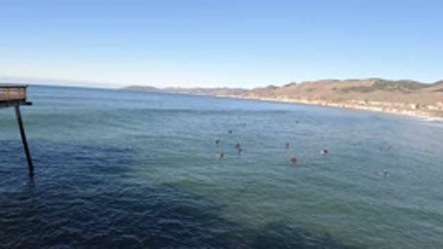PISMO BEACH CALIFORNIA-2019: There Is A Large Blue Body Of Water And There Are A