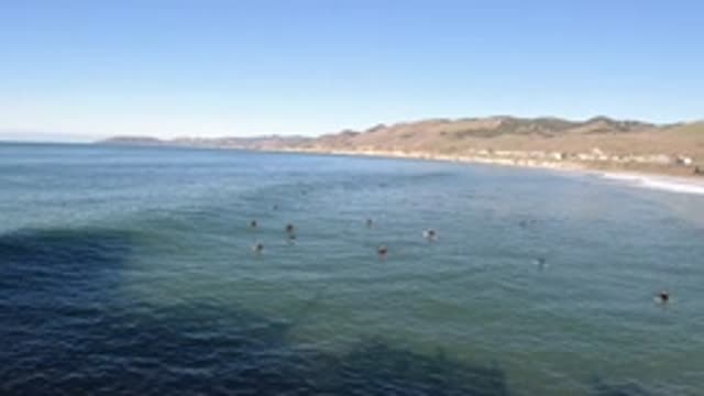 PISMO BEACH CALIFORNIA-2019: Bathers Enjoying The Calm Blue Waters Of Ocean