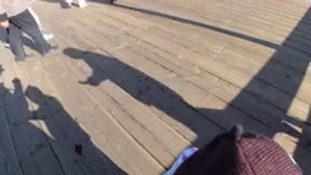 PISMO BEACH CALIFORNIA-2019: Girl Wearing Purple Pants Tries Pulling Off Brown Hat