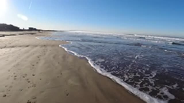 PISMO BEACH CALIFORNIA-2019: A Person Walking Their Dog On The Beach During A