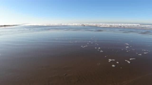 PISMO BEACH CALIFORNIA-2019: Waves Roll In Towards Shore With White Sea Foam Floats