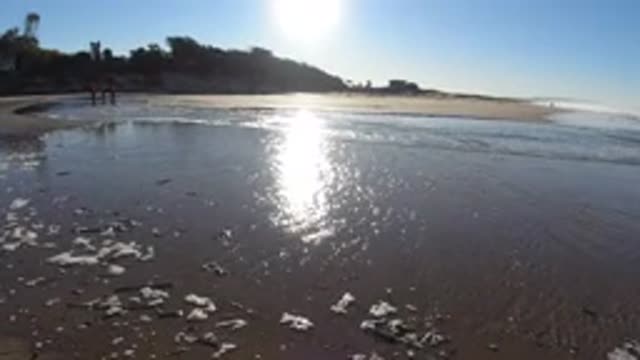 PISMO BEACH CALIFORNIA-2019: Sunlight On The Sea Surface In A Wonderful