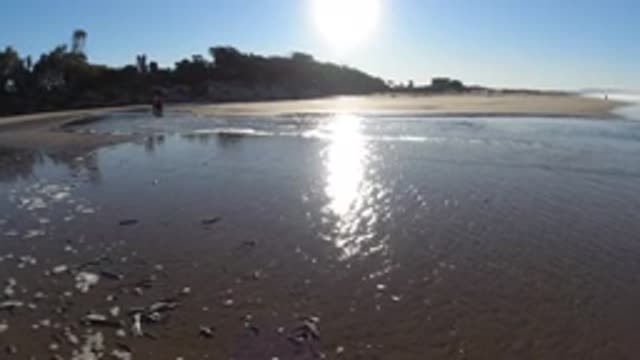 PISMO BEACH CALIFORNIA-2019: An Almost Deserted Beach With Two People Walking At Low Tide
