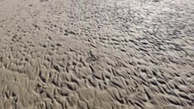 PISMO BEACH CALIFORNIA-2019: A Unique Sand Pattern On A Large Expanse Of Land