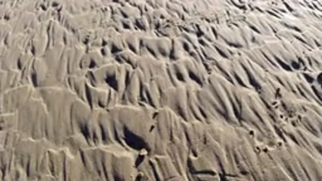 PISMO BEACH CALIFORNIA-2019: Nature's Desert Sandy Ground Forming Nice Beautiful Patterns