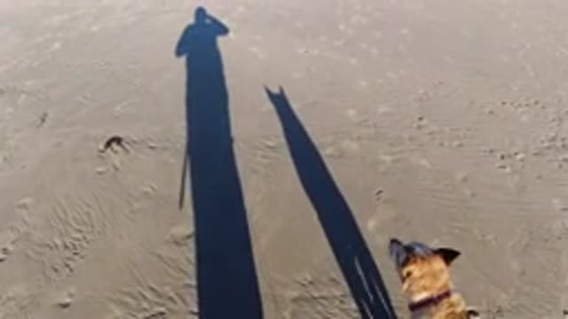 PISMO BEACH CALIFORNIA-2019: Dog Walking Owner On The Sand