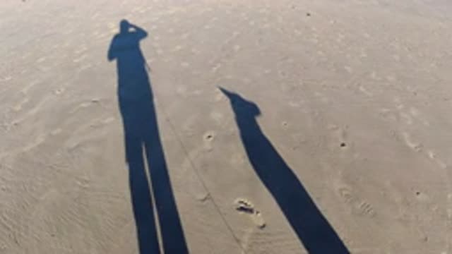PISMO BEACH CALIFORNIA-2019: Dog Has Fun Playing On The Beach With His Owner