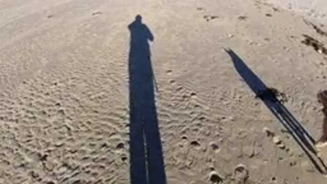 PISMO BEACH CALIFORNIA-2019: Dog And His Owner Walking On The Beach Towards The