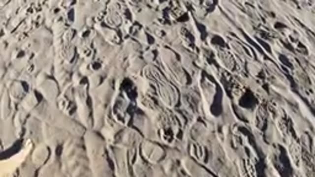 PISMO BEACH CALIFORNIA-2019: Footsteps in Sandy Beach Sand