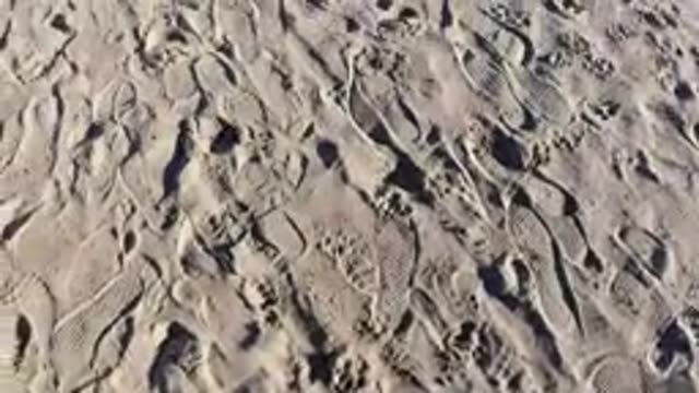 PISMO BEACH CALIFORNIA-2019: A Different Footprint Pattern On A Large Expanse Of Sand