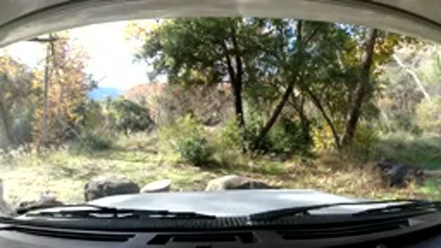 OJAI CALIFORNIA-2019: Car Dashboard View Of Autumn Forest