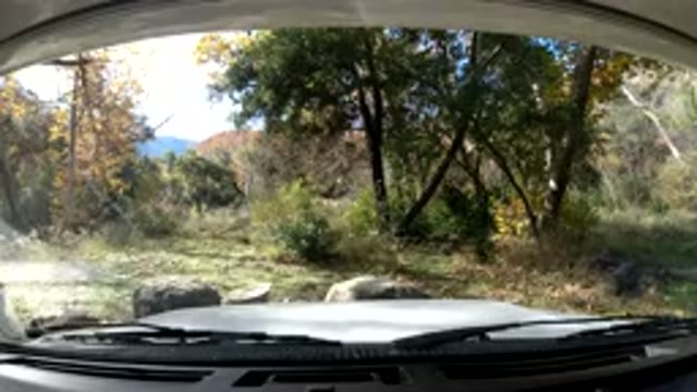 OJAI CALIFORNIA-2019: View From Car Windshield Facing Forest