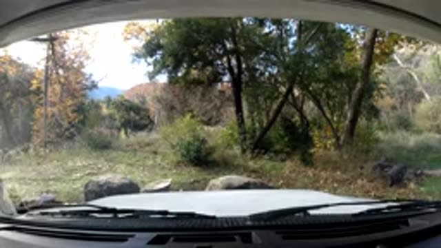 OJAI CALIFORNIA-2019: A Parked Car Shows The Wind Blowing Through The Trees And Bushes