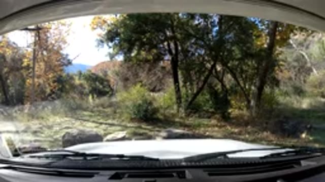 OJAI CALIFORNIA-2019: View From Inside A Car Stopped In A Forest