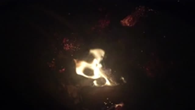 OJAI CALIFORNIA-2019: Branches And Leaves With Fire Sparking In The Dark