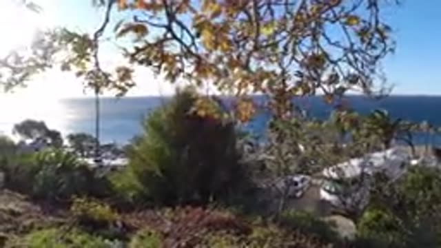 MALIBU CALIFORNIA-2019: Video Showing The Ocean And Beach With Trees And Shrubs