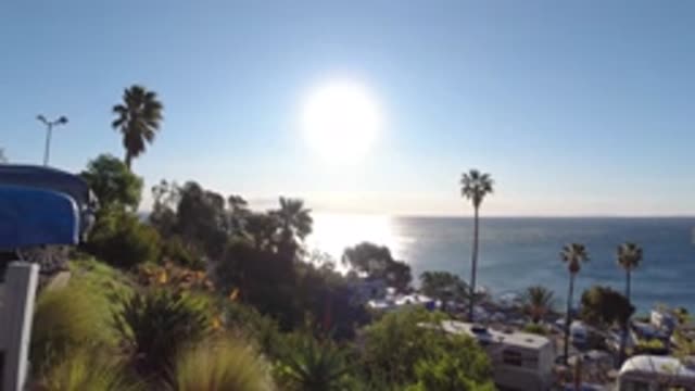 MALIBU CALIFORNIA-2019: Sunlight Cascading Over A Slew Of Trees Near An