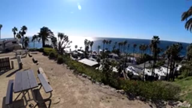 MALIBU CALIFORNIA-2019: Blue Ocean Water And Palm Trees On A Sunny Breezy Day