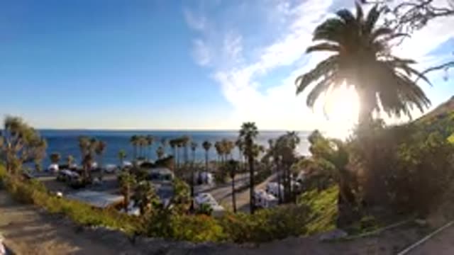 MALIBU CALIFORNIA-2019: Time Lapse Of Palm Trees Blowing In The Wind At The