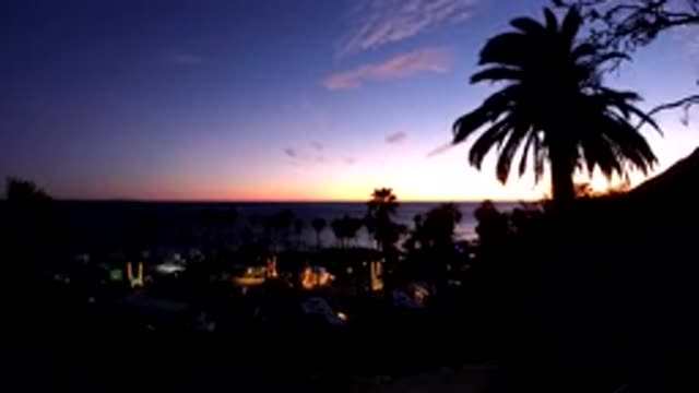 MALIBU CALIFORNIA-2019: A Tree In The Wind Overlooking A City And Sunset With