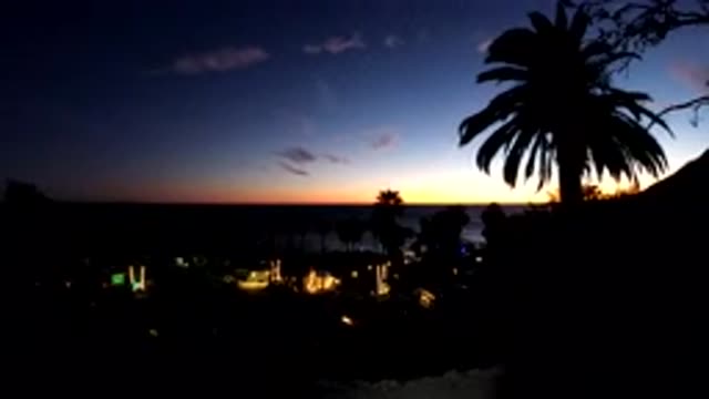MALIBU CALIFORNIA-2019: A Tree Blows In The Evening Breeze With A Sunset In The