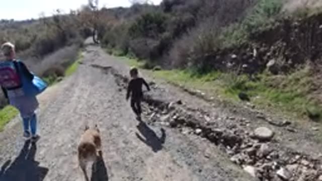 SAN CLEMENTE CALIFORNIA-2019: A Woman, Child, and Dog Walk on a Long Stone Road
