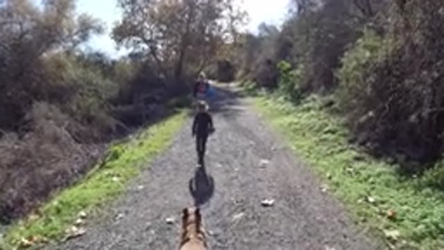SAN CLEMENTE CALIFORNIA-2019: A Blonde Woman, Child, and Brown Dog Walking in the Forest