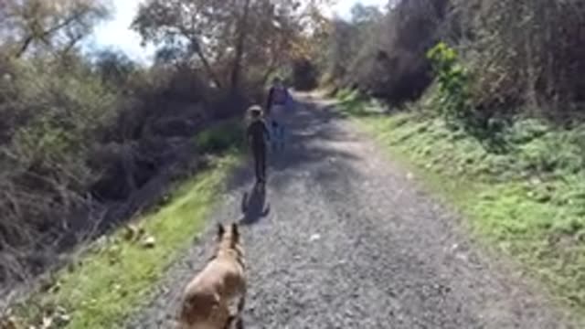 SAN CLEMENTE CALIFORNIA-2019: A Woman A Blonde Child And A Small Dog Walking On