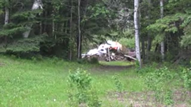 RED LAKE CANADA-2015: View Through Gap In Trees Of Debris On Ground