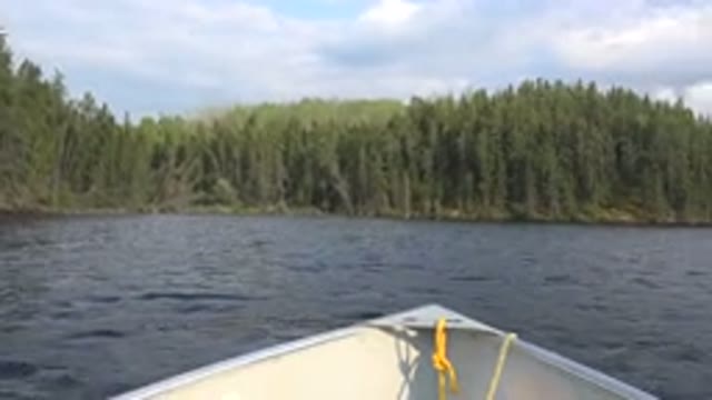 RED LAKE CANADA-2015: Canoe Floating in a Lake Showing the Wilderness and Forest