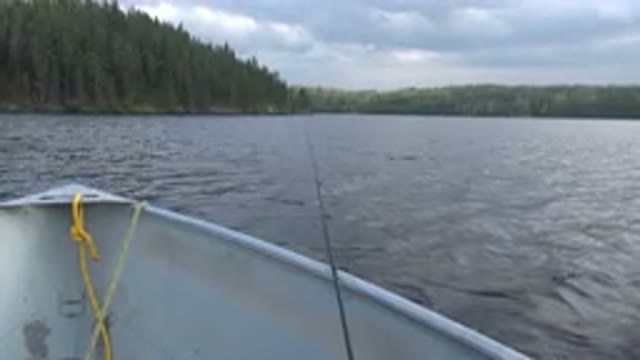 RED LAKE CANADA-2015: Fishing In A Lake With Mountains And Trees In The