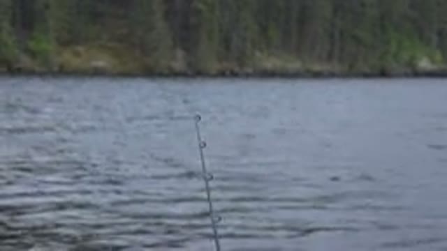 RED LAKE CANADA-2015: Camera Focuses On Top Of Fishing Pole Water Surface