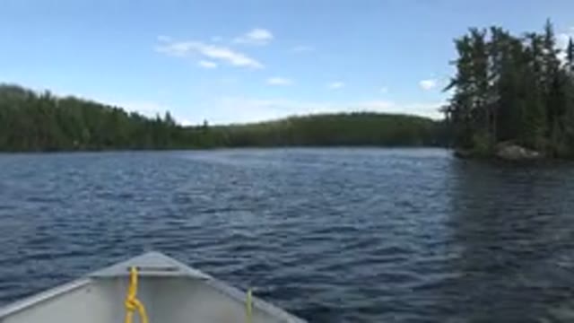 RED LAKE CANADA-2015: A Boat Zooms Across a Beautiful Blue River With Trees