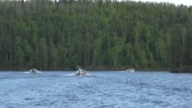 RED LAKE CANADA-2015: Boats Going Down A River Next To The Forest