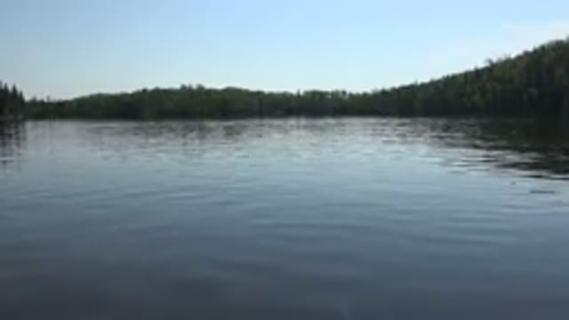 RED LAKE CANADA-2015: Lake With Lots Of Greenery Around In A Day With Clear Blue Skies