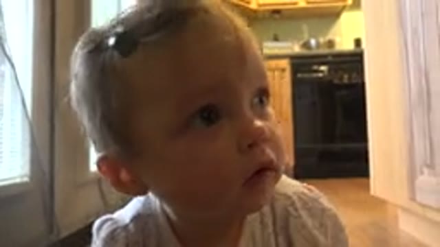WESTMINSTER COLORADO-2015: Baby Sits and Looks at the Camera Recording