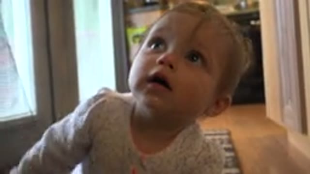 WESTMINSTER COLORADO-2015: Toddler Wearing White Shirt Looks Up At Off Screen