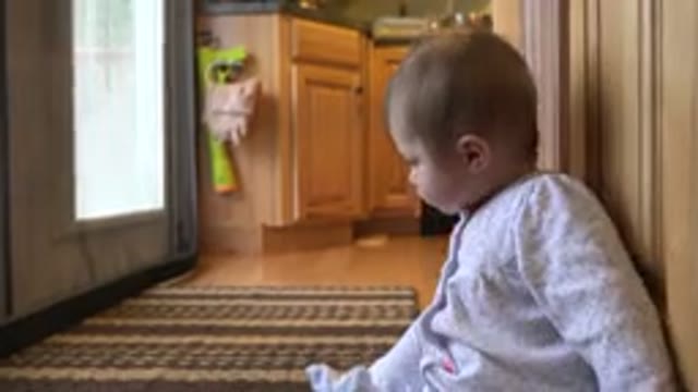 WESTMINSTER COLORADO-2015: The Inquisitive Mind of a Cute Innocent Baby