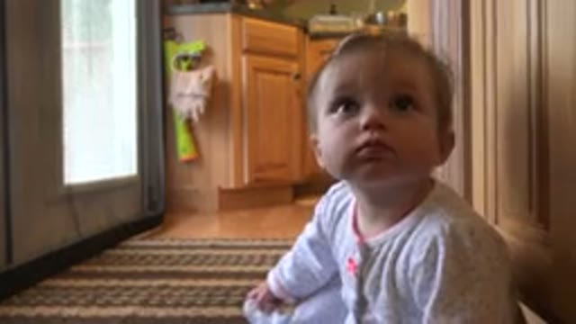 WESTMINSTER COLORADO-2015: Baby Sitting On The Kitchen Floor Looking Intently
